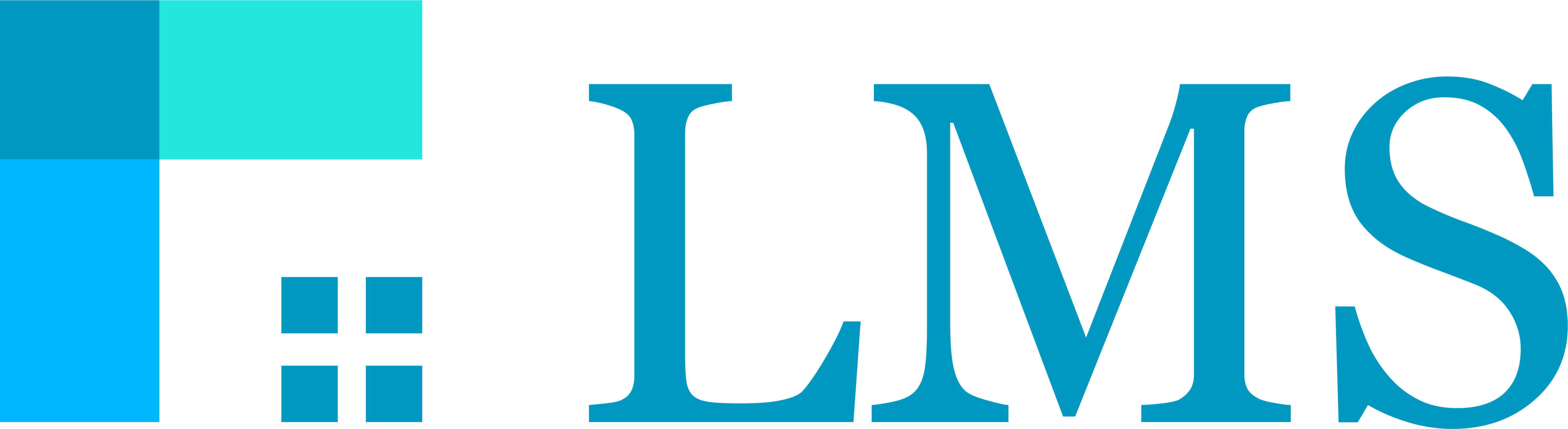 Loan Mitigation Services Logo